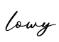单词lowy书写