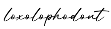 单词loxolophodont书写
