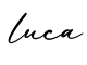 单词luca书写