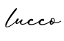 单词lucco书写
