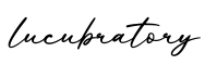 单词lucubratory书写