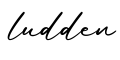 单词ludden书写