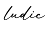 单词ludic书写
