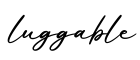 单词luggable书写