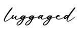 单词luggaged书写