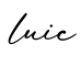 单词luic书写