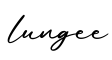 单词lungee书写