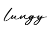 单词lungy书写