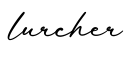 单词lurcher书写