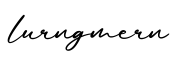 单词lurngmern书写