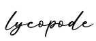 单词lycopode书写
