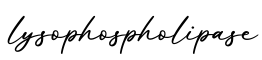 单词lysophospholipase书写