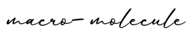 单词macro-molecule书写