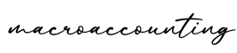 单词macroaccounting书写