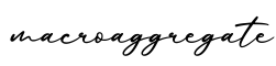 单词macroaggregate书写