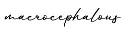 单词macrocephalous书写