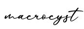单词macrocyst书写