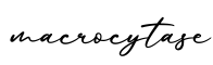单词macrocytase书写