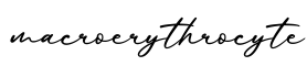 单词macroerythrocyte书写