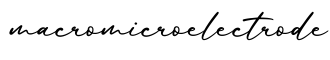 单词macromicroelectrode书写