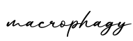 单词macrophagy书写