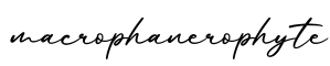 单词macrophanerophyte书写