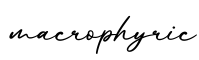 单词macrophyric书写
