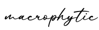 单词macrophytic书写