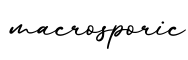 单词macrosporic书写