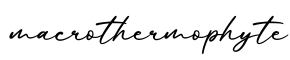 单词macrothermophyte书写
