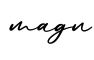 单词magn书写