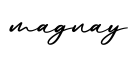 单词magnay书写