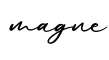 单词magne书写
