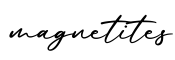单词magnetites书写