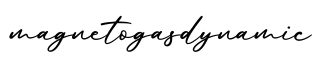单词magnetogasdynamic书写