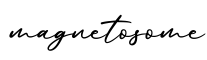 单词magnetosome书写