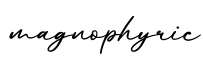单词magnophyric书写