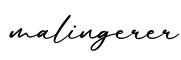 单词malingerer书写