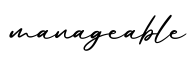 单词manageable书写