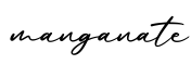 单词manganate书写