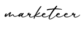单词marketeer书写