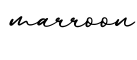 单词marroon书写