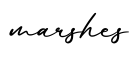 单词marshes书写