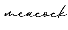 单词meacock书写