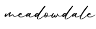 单词meadowdale书写