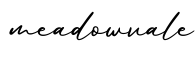 单词meadowvale书写