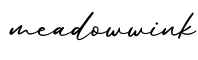 单词meadowwink书写