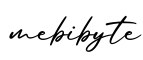 单词mebibyte书写