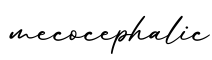 单词mecocephalic书写