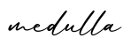 单词medulla书写
